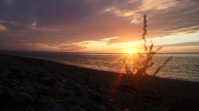 Sunset along wild coast of Sea of Japan. Sakhalin. A beach, ocean meadow, and lots of caddis fly. Far East, here begins night and day of extended Siberia. Sea is like maternity hospital for cyclones