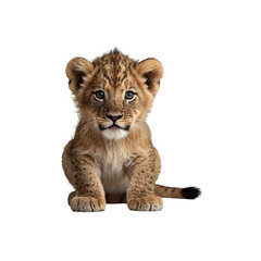 Lion cub sitting cute and adorable facing forward generative AI