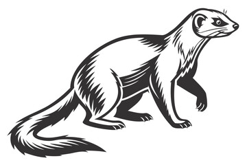 Find detailed vector illustration of a weasel animal drawing for design and artwork projects online now isolated on transparent background