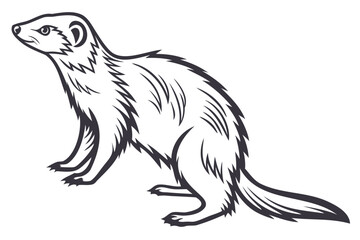 Illustration of a cute ferret standing, animal drawing, black and white art, mammal wildlife vector image isolated on transparent background