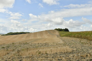 Champs caillouteux sous un ciel nuageux près du bourg de Vendoire au Périgord Vert  © Photocolorsteph