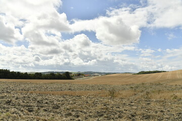 Obraz premium Champs caillouteux sous un ciel nuageux près du bourg de Vendoire au Périgord Vert 