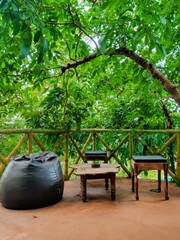 japanese garden in the park