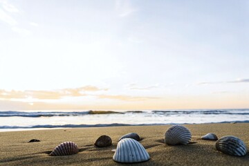 Obraz premium Seashells on Soft Sand Beach with Scenic Ocean Sunset Background
