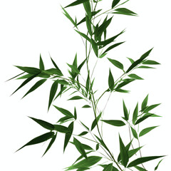 Naklejka premium Lush Green Bamboo Branch Against Vibrant Cyan