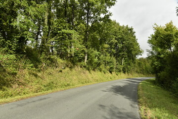 Route de campagne traversant un bois sous le soleil près du bourg de Vendoire au Périgord Vert 