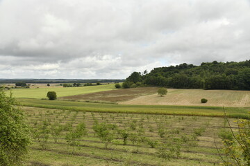 Paysage rural sous un ciel gris près du bourg de Champagne au Périgord Vert  © Photocolorsteph