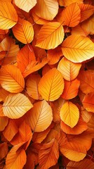 Fototapeta premium Autumn leaves form warm, textured carpet surface view
