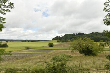 Paysage rural sous un ciel gris près du bourg de Champagne au Périgord Vert  © Photocolorsteph