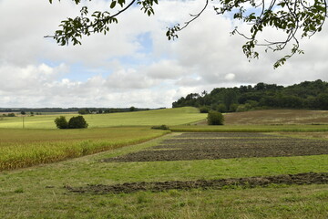 Paysage rural sous un ciel gris près du bourg de Champagne au Périgord Vert  © Photocolorsteph