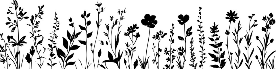 Silhouettes of Various Plants and Flowers with Unique Shapes and Structures
