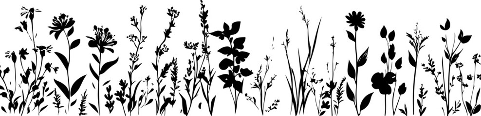 Silhouettes of Various Plants and Flowers with Unique Shapes and Structures
