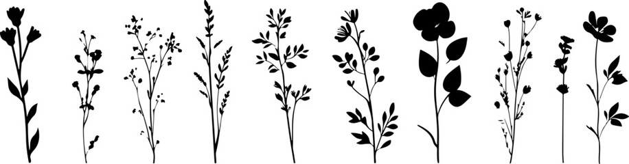 Silhouettes of Various Plants and Flowers in a Minimalist Style
