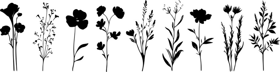 Silhouettes of Various Plants and Flowers in a Minimalist Style
