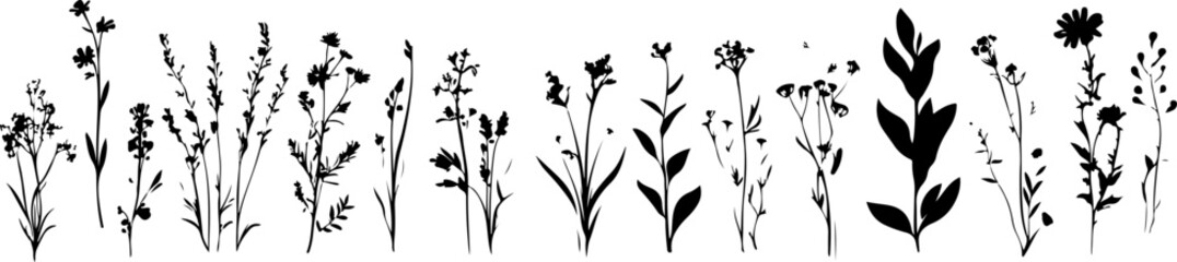 Silhouettes of Various Plants and Flowers in a Minimalist Style
