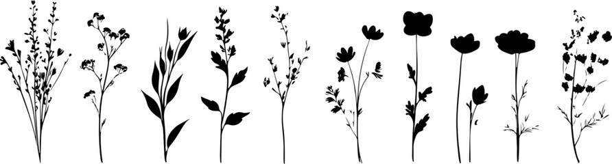 Silhouettes of Various Plants and Flowers in a Minimalist Style
