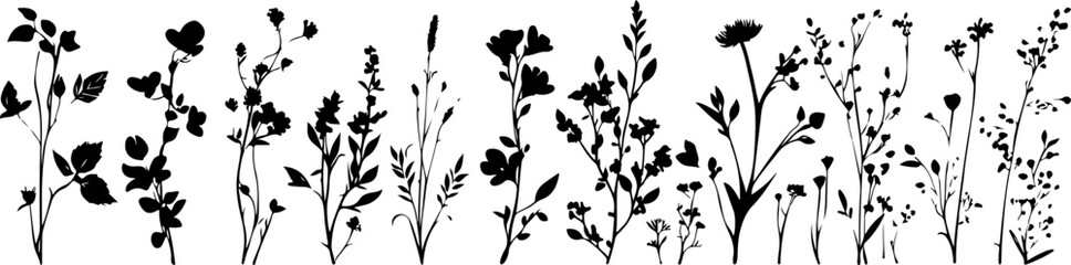 Silhouettes of Various Plants and Flowers in a Minimalist Style
