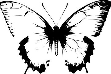 Black and White Illustration of a Butterfly with Detailed and Symmetrical Wing Patterns
