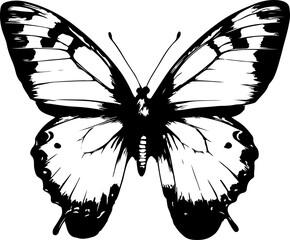 Black and White Illustration of a Butterfly with Detailed and Symmetrical Wing Patterns
