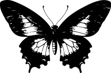 Black and White Illustration of a Butterfly with Detailed and Symmetrical Wing Patterns
