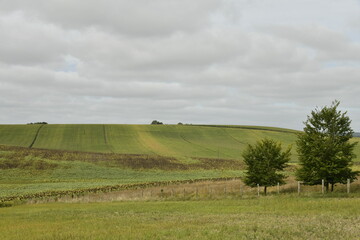 Ciel gris au dessus des collines de champs et prairies près du bourg de Vendoire au Périgord Vert  © Photocolorsteph