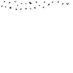 Fototapeta premium Bird Fly Vector Shape