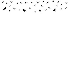 Bird Fly Vector Shape