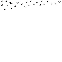 Bird Fly Vector Shape