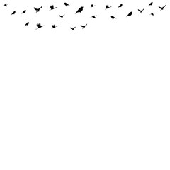 Bird Fly Vector Shape