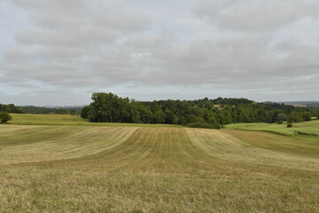 Champ de paille sous un ciel gris près du bourg de Champagne au Périgord Vert  © Photocolorsteph