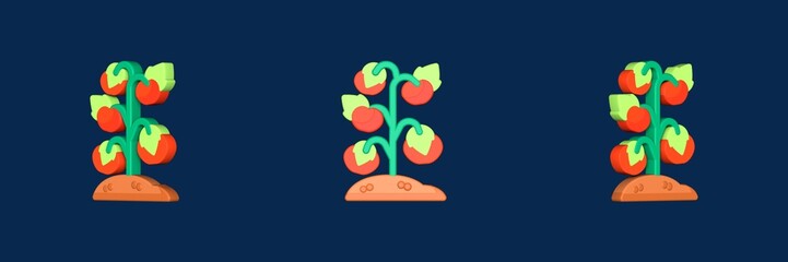 tomato spring 3D icon