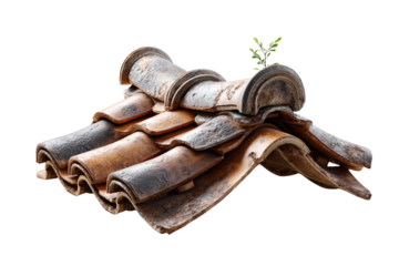 Transparent resilience in nature unveiling the beauty of overgrown ancient roof tiles urban environment photography detailed capture