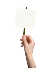 Hand holding a blank protest sign on a wooden stick. Female activist demonstrating with an empty