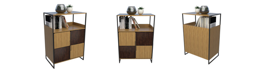 Modern Wooden Bookshelf with Cabinet and Plants-3D Render
