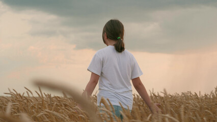 Fototapeta premium agriculture, girl walks through wheat field sunset. child hand touches wheat, field. girl daughter farmer sunset wheat field. concept agriculture. hand touches golden ears. Childhood countryside
