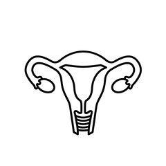 Diagram of female uterus anatomy in minimalist line art  