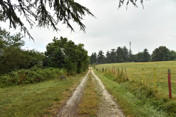 Chemin en pleine campagne par temps de pluie sur la colline du château à Villebois-Lavalette en Charente 
