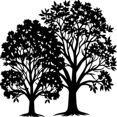 Obraz premium Vector Set of Sundari Tree Outlines