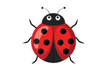 Red ladybug vector illustration on white background