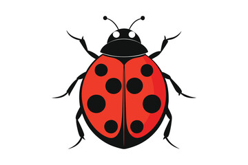 Red ladybug vector illustration on white background