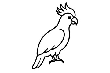 Minimalist Cockatoo Line Drawing – Elegant Bird Vector Art


