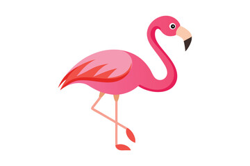 Pink flamingo vector illustration on white background