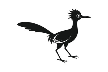 Road runner bird silhouette vector illustration on white background