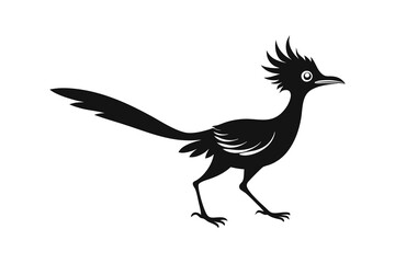 Road runner bird silhouette vector illustration on white background