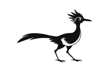 Road runner bird silhouette vector illustration on white background