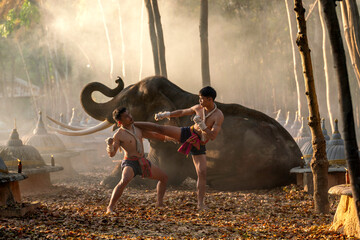 Muay Thai Fighters Training Beside Elephant in Forest Temple. Traditional Martial Arts Practice in...
