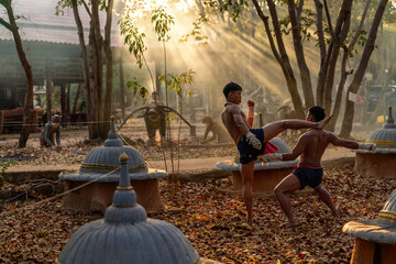 Traditional Muay Thai Fighters Training in Forest Temple. Martial Artists Practicing Kickboxing at...