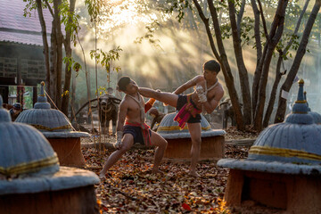 Fototapeta premium Traditional Muay Thai Fighters Training in Forest Temple. Martial Artists Practicing Kickboxing at Sunset in Rural Thailand.