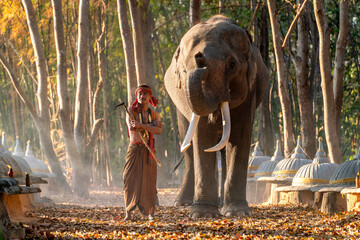 Naklejka premium Traditional Asian Mahout Standing Beside Elephant in Forest. Portrait of an Asian Mahout Beside Elephant.