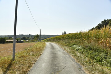 Route secondaire de campagne sous un ciel bleu près du bourg de Champagne au Périgord Vert 
